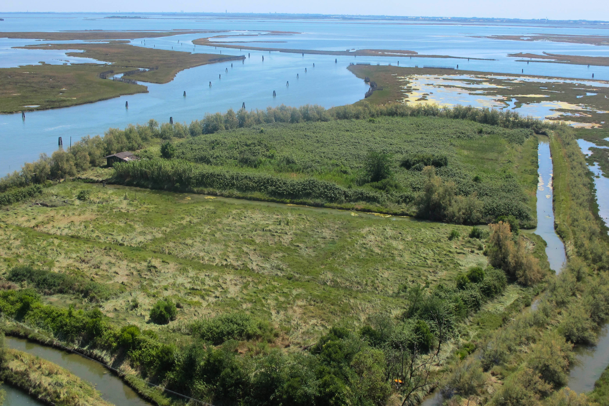 104 torcello island, venetian lagoon.webp